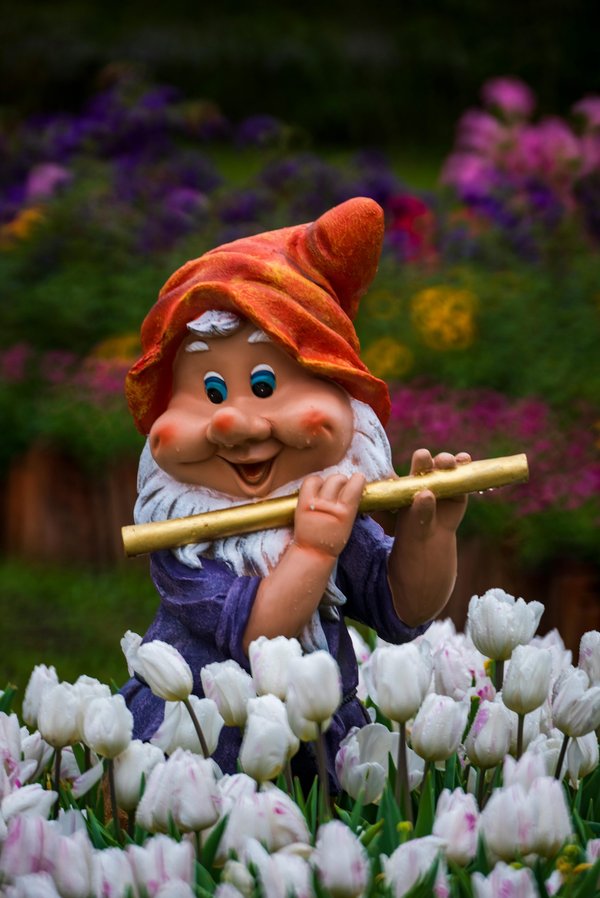 Défi nain de jardin : comment maîtriser le doodle google ?